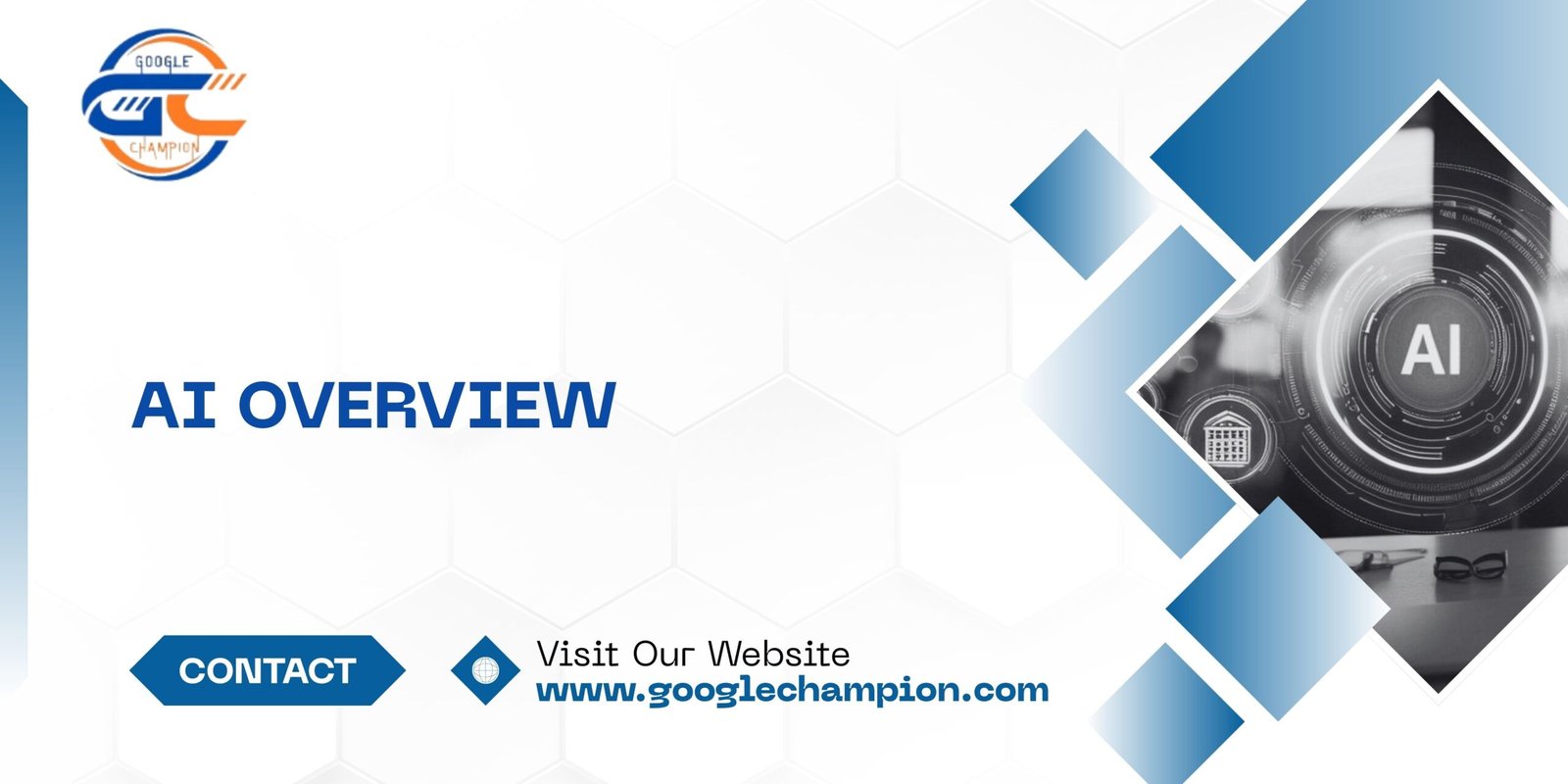 AI Overview