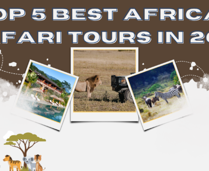 Top 5 Best African Safari Tours in 2026