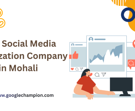 Best Social Media Optimization Company in Mohali