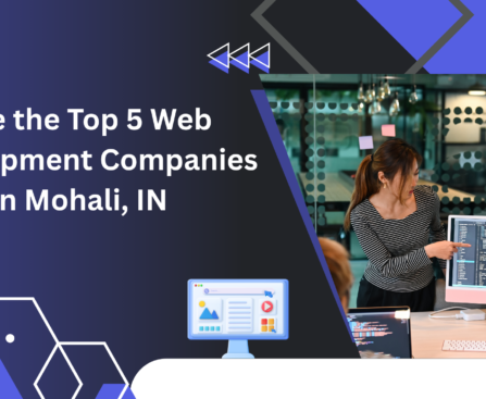 Hire the Top 5 Web Development Companies in Mohali IN